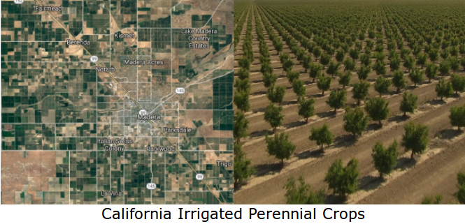 Climate Disruption Threatening California Crops in Various Ways