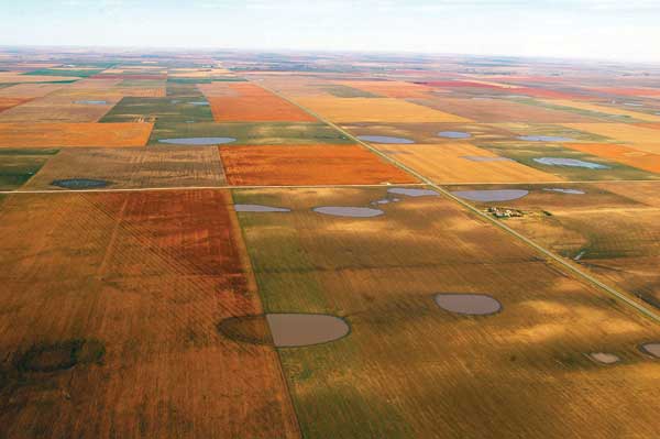 Playa Wetlands Hold Promise To Recharge Ogallala Aquifer