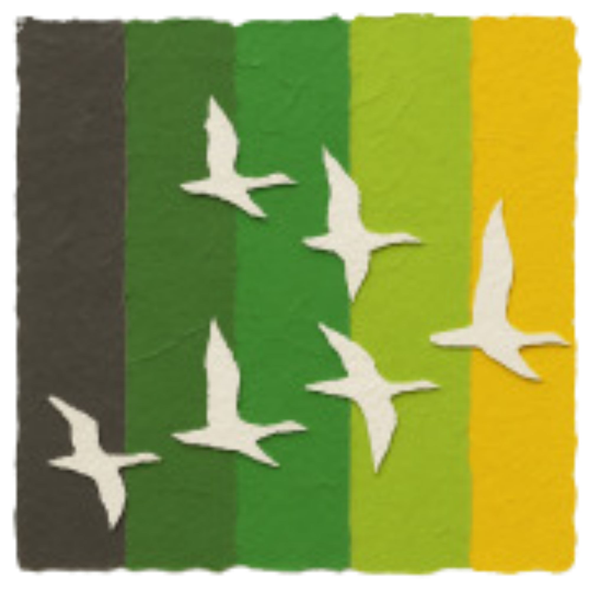 Unknown's avatar